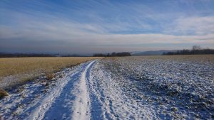 Zima 2016 obwód 102